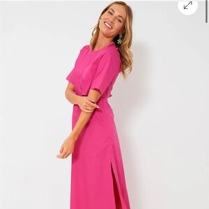 Tuckernuck Bird and Knoll Magenta Dress (only worn once!)